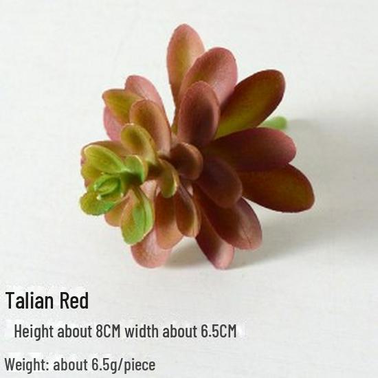 Mini Flocking Artificial Succulent Bonsai for DIY Wall Decor