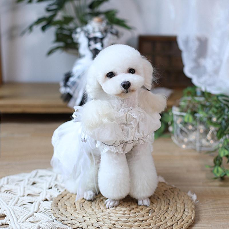 Korean Style Puff Sleeve Pet Wedding Gown - High-End Dog Cat Dress for Teddy Bichon Fashion Show Outfit