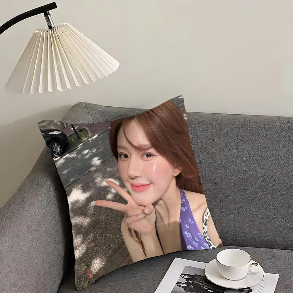 Zhao Lusi Cushion Cover Reversible Plush Pillow Cover – For car, sofa, bedroom, perfect as a gift.