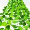 Morning Glory Green Leaf Rattan and Pothos Vine Decoration