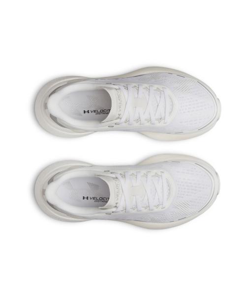 [Under Armour] Velocity Distance Running Shoes [6006031-100]