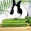 Rabbit Chew Toy For Teeth Hamsters Chew Stick Small Animal Chew Stick  Papayas Molar Stick For Rabbit Hamsters Chew Toy