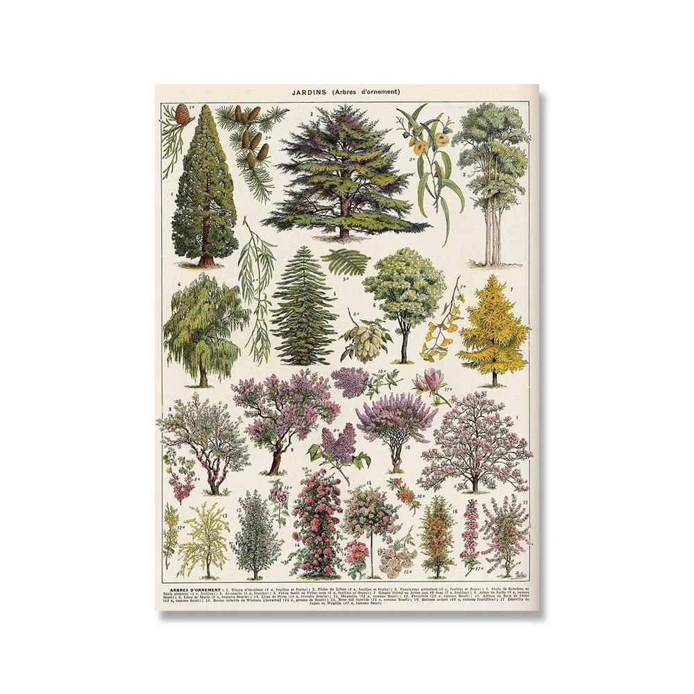 Vintage Adolphe Millot Encyklopedi Affischer och Tryck Botaniska Svampar Kryddväxter Blommor Insekter Canvasmålningar Väggkonst Dekor