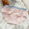 5Pcs Bowknot Lace Flower Panties Cotton Crotch Underwear for Women Sweet Floral Briefs  Gifts