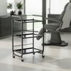 Hairdressing Cosmetic Assistant for the Salon 1027A Universal Cabinet Trolley Table on Wheels with Three Glass Shelves