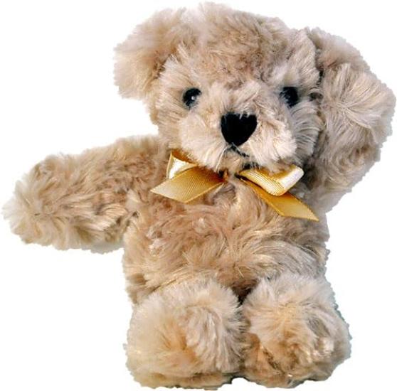BC Melty Bear SS Корица #6