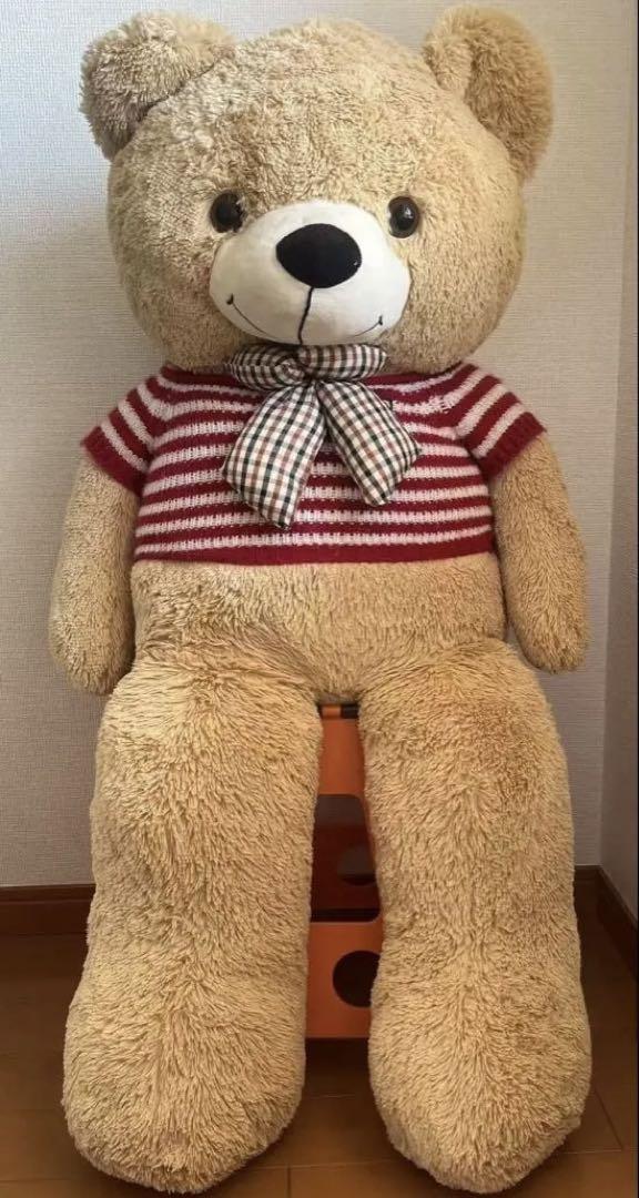 

[USED] Beautiful, cute, extra-large teddy bear