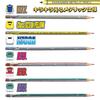 Shinkansen Pencil & Ruler Set: Metallic Pencil, 2B Ruler, Shinkansen Train Merchandise for Kids and Boys (E5 Series, E6 Series, E7 Series)