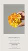 Xichun Handmade Ceramic Flower Incense Holder - Zen Style Ornament