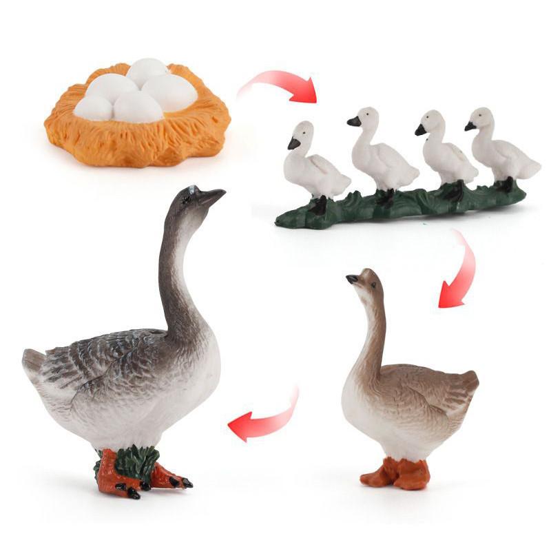 Enchanting Simulation Solid Turtle Chick Frog Animal Growth Cycle Montessori Teaching Aids For Unique Gifts And Decorative Accents