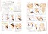 Copic Markers x Shikishi Basics: Trying Copic Markers for the First Time with Bust-Up Illustrations (Analog Drawing Series)