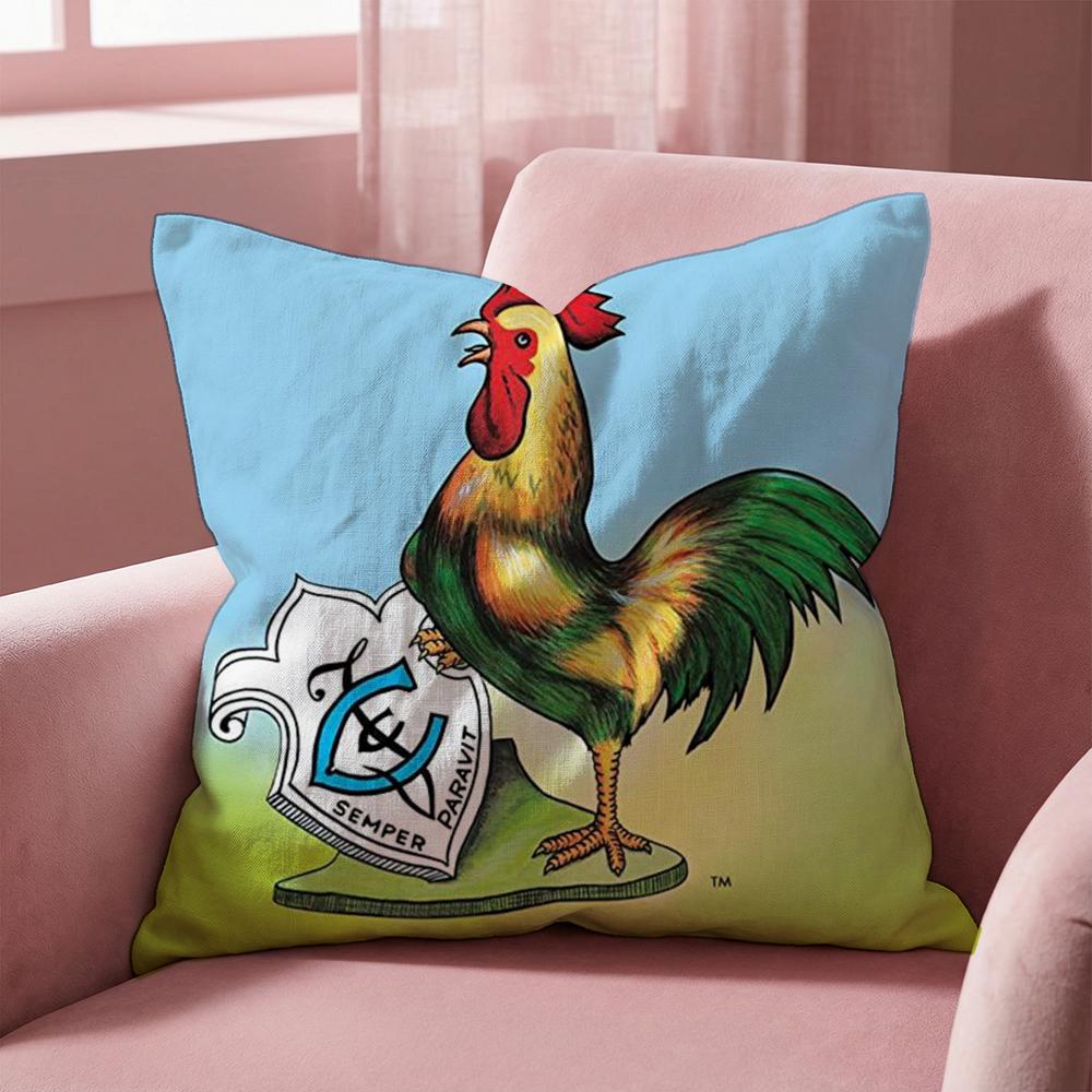 Mexican B-Bingo Lottery Cushion Cover Multi-Scene Pillow Cover for Home & Car - Reversible, Soft & Durable for Daily Use