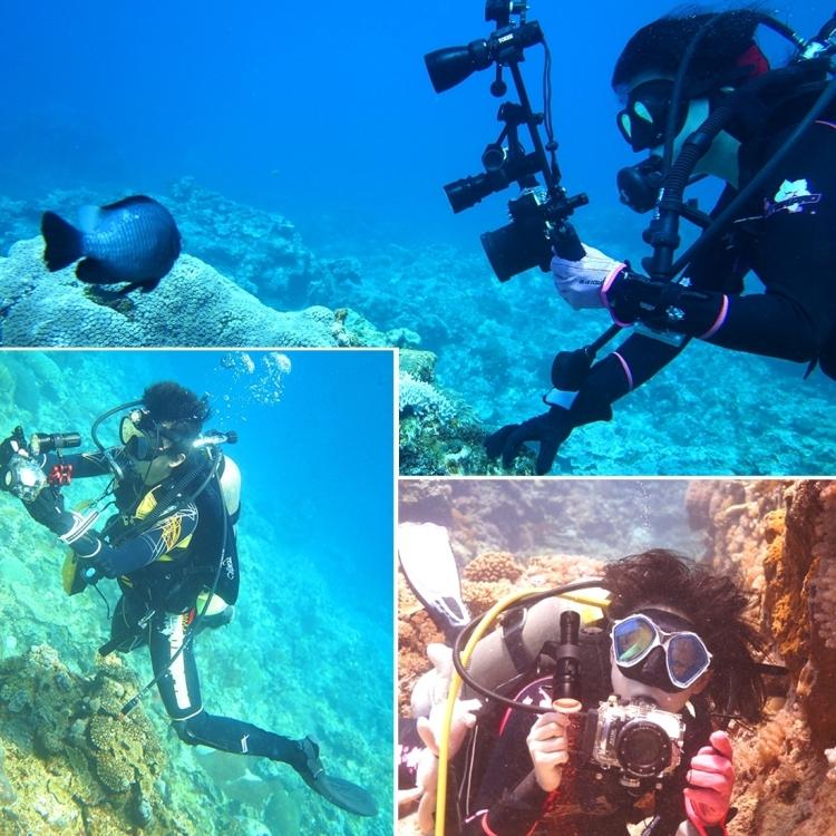 PULUZ Dual Handle Aluminium Tray Stabilizer with 2 x Dual Ball Aluminum Alloy Clamp & 2 x 7 inch Floating Arm for Underwater Camera Housings