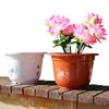 Thickened Round Plastic Pot for Aquatic Plants Non-Draining Hydroponic Planter for Water Lily Bamboo UV-Resistant Plant Pot for Pond Garden Patio
