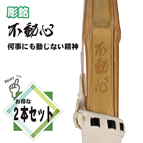 Kendo Armor Com Shinai Fudoshin 3.0-3.9 SSP Seal Set 2