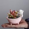 Ceramic Fleshy Plant Pot Pig/Bear Planter Plant Flowerpot Ornament for Fleshy Plant Cactuses Container for Home Balcony