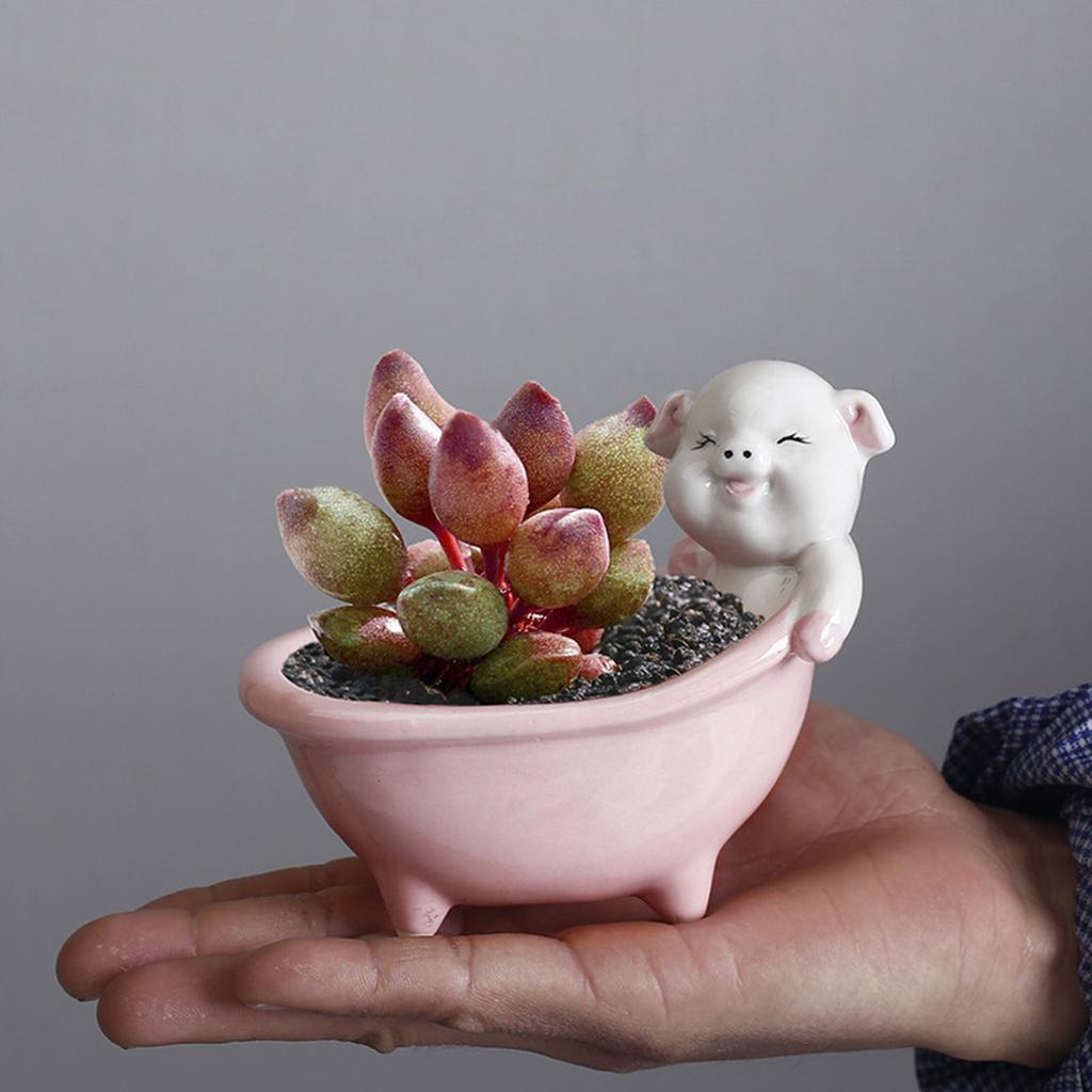 Ceramic Fleshy Plant Pot Pig/Bear Planter Plant Flowerpot Ornament for Fleshy Plant Cactuses Container for Home Balcony