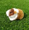 Porcellino d'India Animale di Peluche Simulazione Bambola di Peluche Criceto Giocattolo di Peluche Animale di Peluche Morbido Figurine per Bambini Regalo di Compleanno