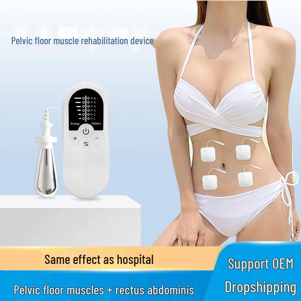 Portable Multifunctional Pelvic Floor and Abdominal Muscle Repair Device for Postpartum Recovery
