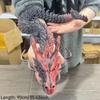 New 90Cm 3D Printed Dragon Full Body Joints That Can Move Home Furnishing And Decoration Figurines Desktop Ornament Children Toy
