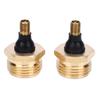 RV Winterizing Tool Replacement for Schrader Air Valve Brass RV Blowout Plug Adapter for Campers Trailers Water