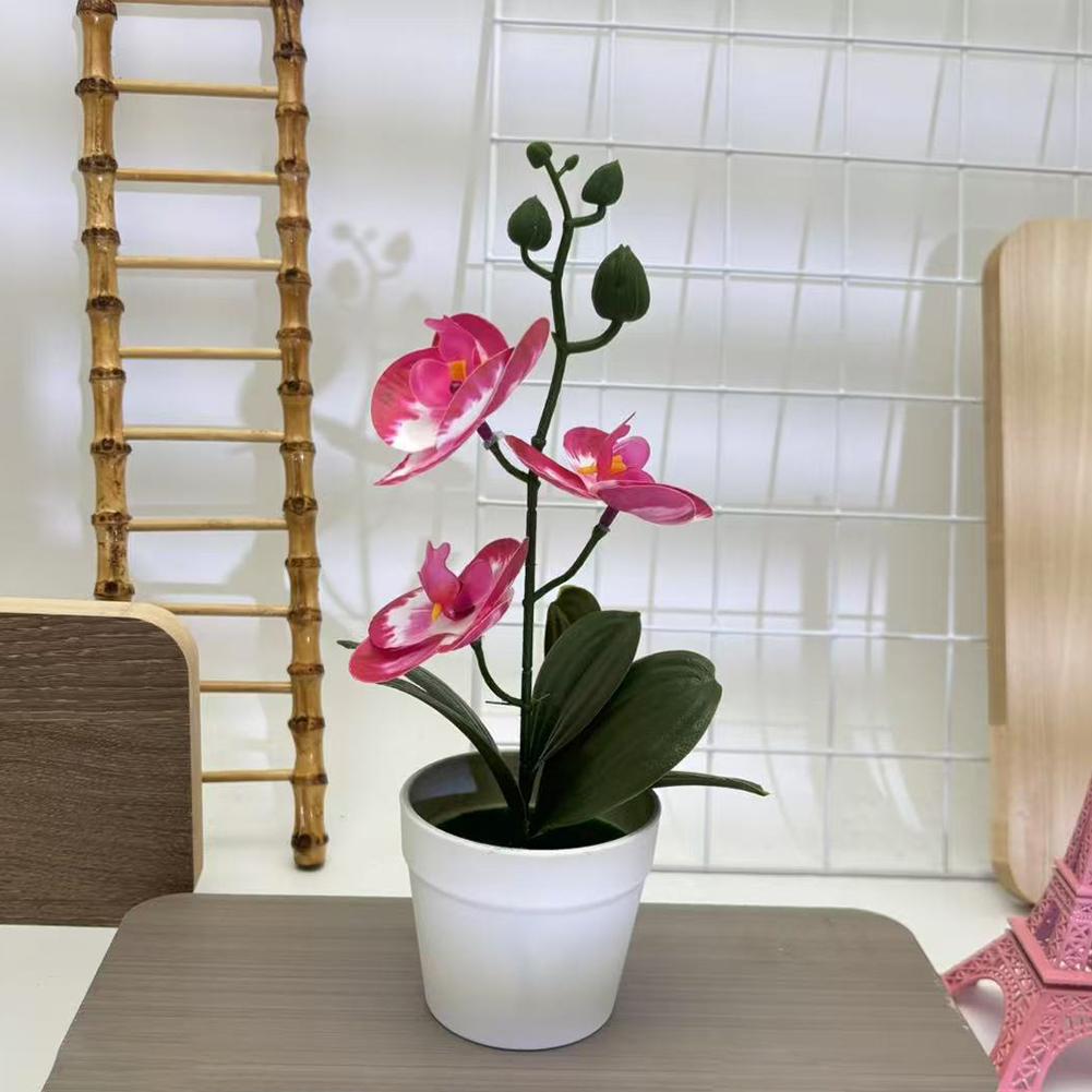 Compact Design Fake Flower Plant Phalaenopsis Bonsai Easy To Style