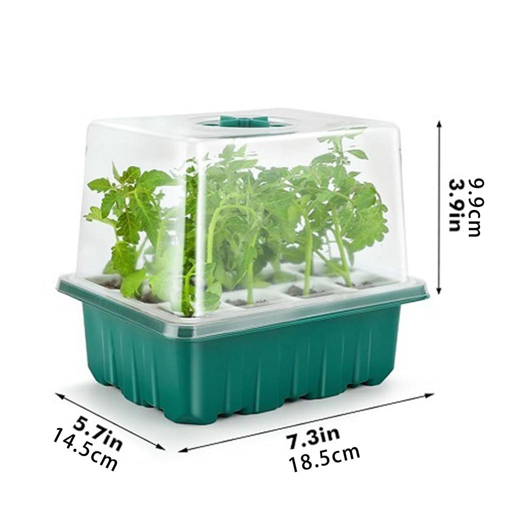Fide Çimlendirme Tepsisi Seti İç Mekan Sera Bitki Yetiştirme Kutusu Ev Kullanımı için Şeffaf Kapaklı Çoğaltma Kabı