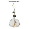 Klare Hochborosilikatglas Avocado Anzuchtvase Hydroponische Blumenvase Pflanzenbehälter Wachstumsvase Geschenk