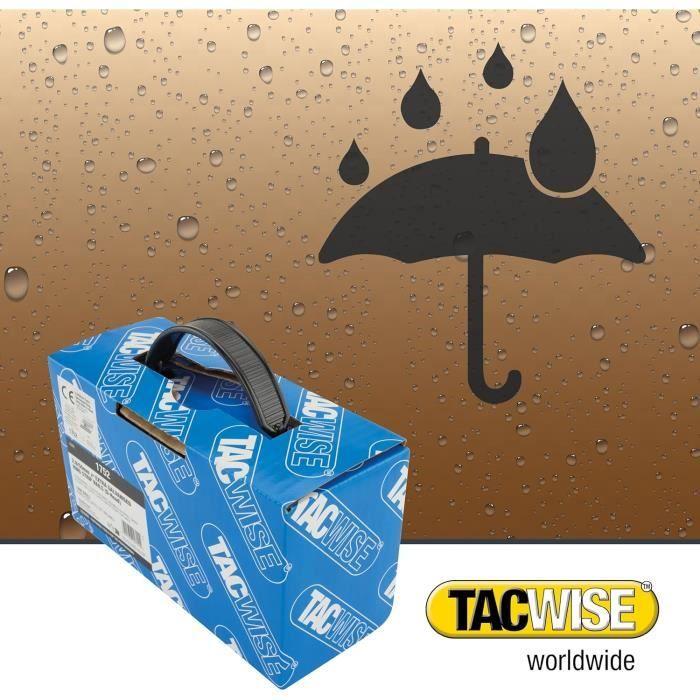 Framing Nails - TACWISE - 1752 - Extra Galvanized - 2.850 Mm - D-Head - Annular Shank