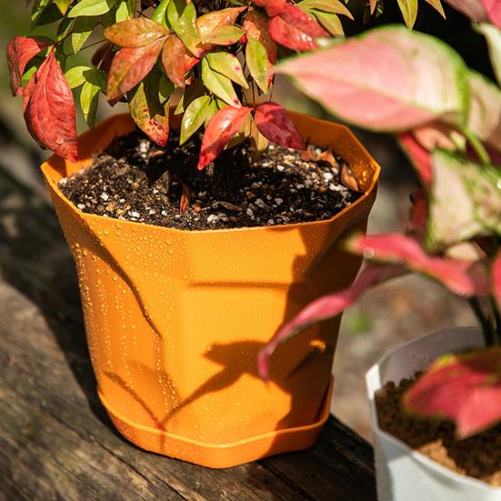 Flowerpot Durable Stable Decorative Breathable Succulents Nursery Garden Planter with Tray for Home