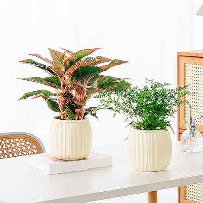 Boliginnredning – Dekorative blomsterpotter