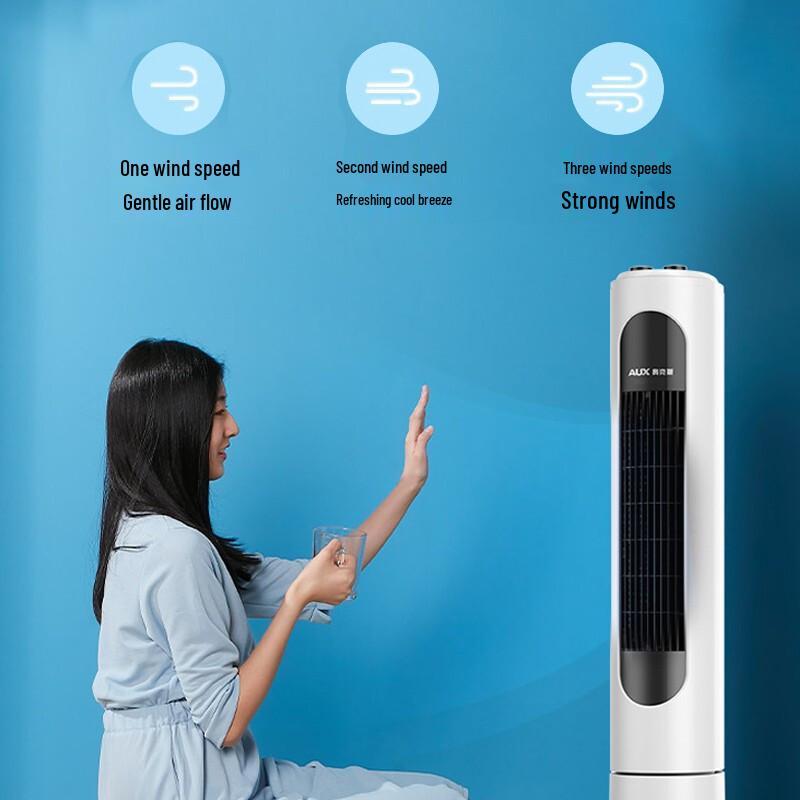 AUX Tower Air Cooler Fan CN plug (adapter included)