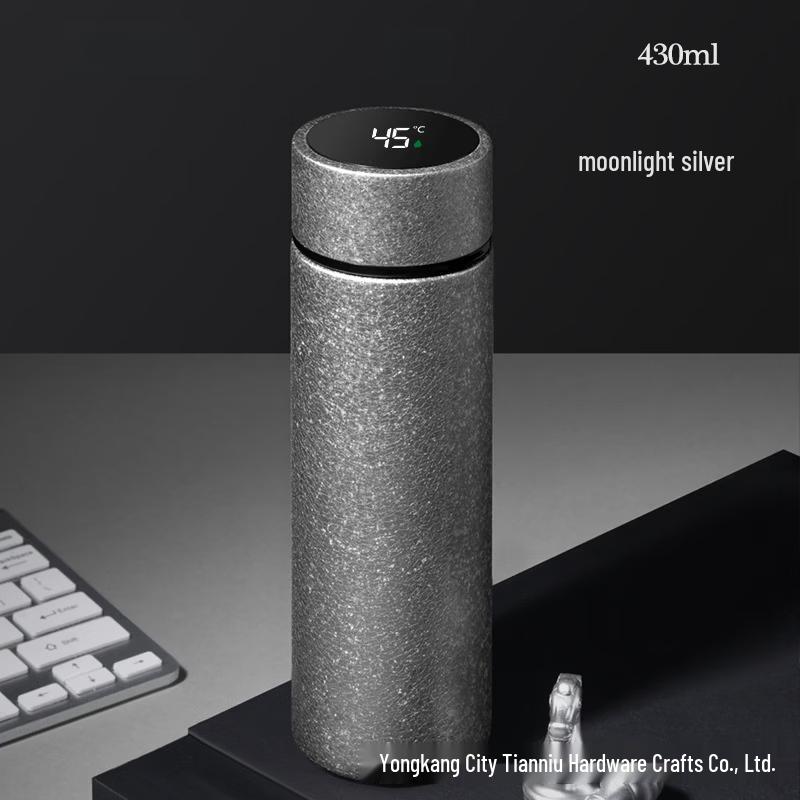 OLOEY Silver Insulated Tea Infuser Bottle