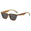 3pcs Fashion Cat Eye Sunglasses Women Simple Design Sun Glasses Ladies Classics Plastic Frame Black Lens Eyeglasses UV400