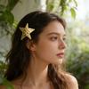 Hairpin Five-Pointed Star Shape Hair Clip Exaggerated Metal Texture Side Bang Hair Pin Fade-Resistant Hair Accessory
