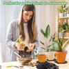 10 Pcs Plant Level Pot Elevator, Heavy Duty Plant Stand, Black Round Plant Flower Pot Holder Plastic Plant Risers For Indoor