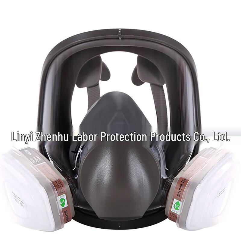 Brangdy Full Face Respirator Kit
