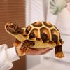 Fluffy Sea Turtle Stuffed Doll Marine Animal Animal Sea Turtle Pillow  Home Decor