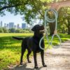 Solid Rope Dog Leash Adjustable Loop Thick Design No Pull Dog Leash Shock-Absorbing Durable Pet Leashes Dog Walking
