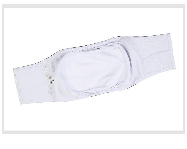 Striped Dog Sanitary Pants & Belly Band for Pets