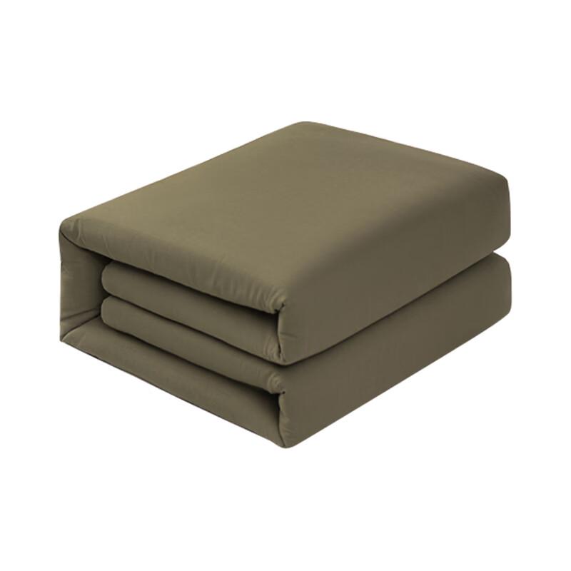 Yiyiai All-Season Polyester Fiber Quilt