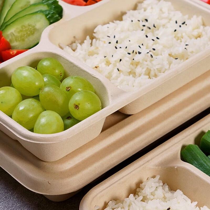 Degradable Bagasse Pulp 3-Compartment Meal Box with Lid