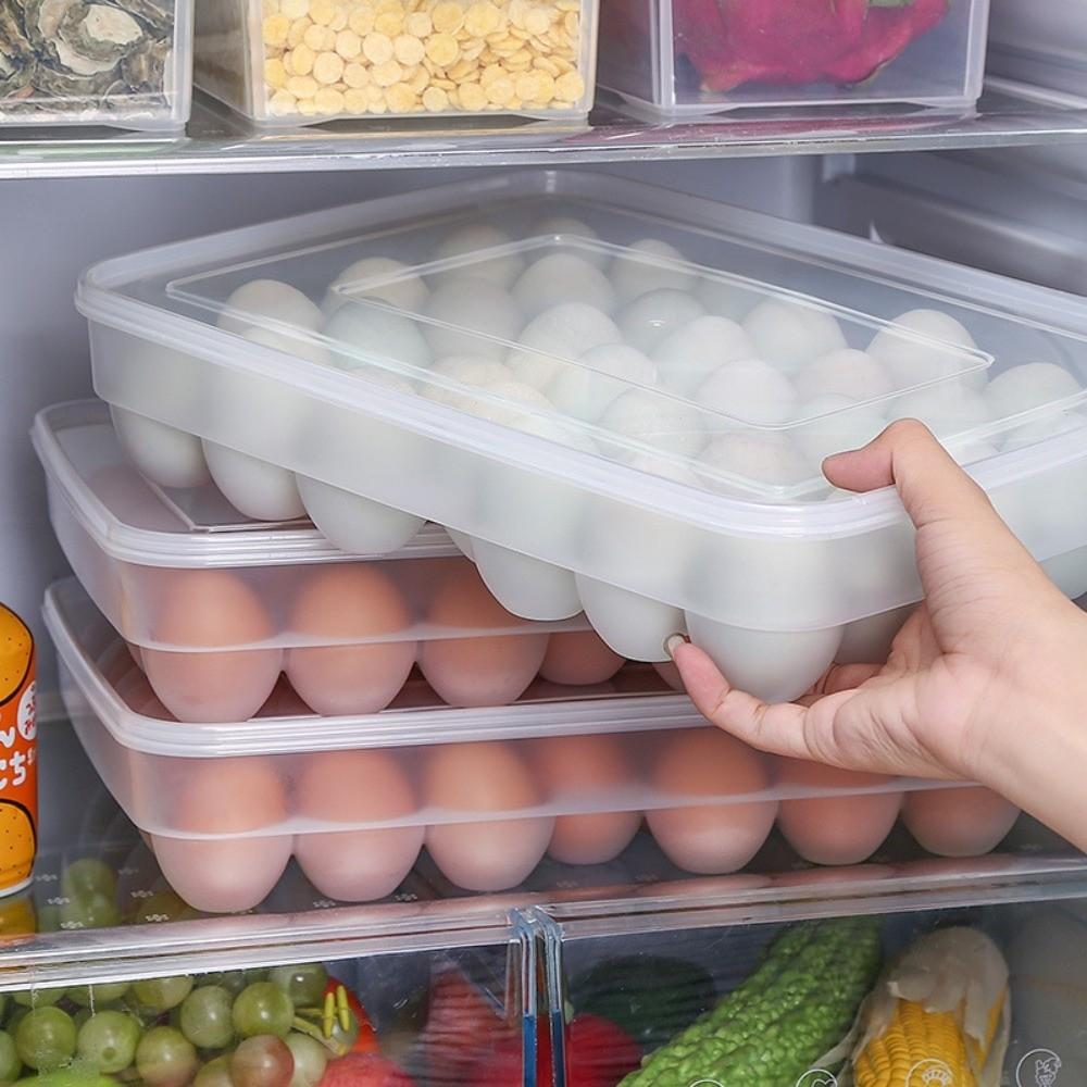 Container Lid Plastic Egg Holder Space Saver Refrigerator Egg Storage Container  Home