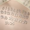 Teamer 5pcs/lot Number 0-25 Charms Stainless Steel Pendant for DIY Bracelet Necklace Jewelry Making Birthday Numbers Wholesale