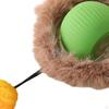 Cat Toy Ball for Indoor Play, Electric Rolling Kittens