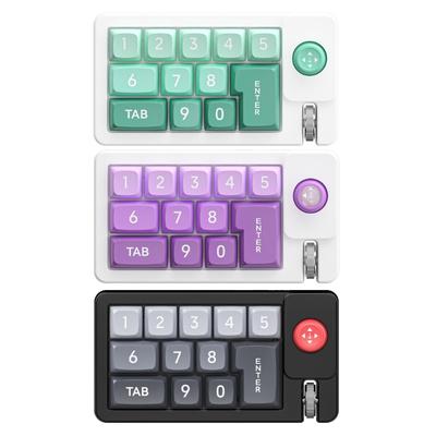 K810 Corded Mechanical Gamer Keyboard Hot-Swappable with Lighting Programmable Macros Joystick Small Keypad 12Keys