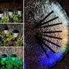 Xuanyong Solar Ambiance Garden Stake Lights