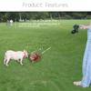 Rotation Pet Rope Pet Traction Rope Belt Retractable with Light Dual Dog Rope Leash Adjustable Double for 2 Dogs Walking