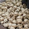 100/200pcs Small Skull Planter Garden Decor Aquarium Decoration Realistic Fish Tank Skeleton Ornament Fish Bowl Bonsai Pot Decor