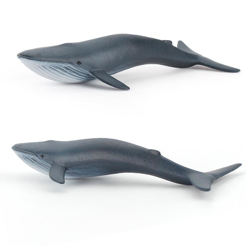 Mini Marine Creature Model Great White Shark Blue Whale Pilot Whale Shark Ornament Hand-Drawn Solid Toy